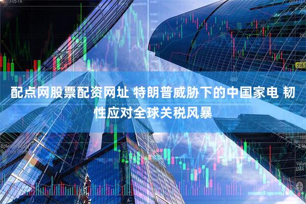 配点网股票配资网址 特朗普威胁下的中国家电 韧性应对全球关税风暴