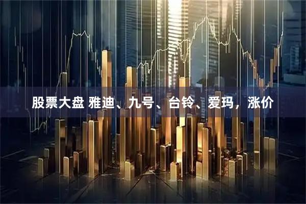股票大盘 雅迪、九号、台铃、爱玛，涨价