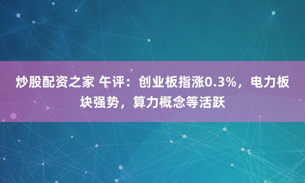 炒股配资之家 午评：创业板指涨0.3%，电力板块强势，算力概念等活跃